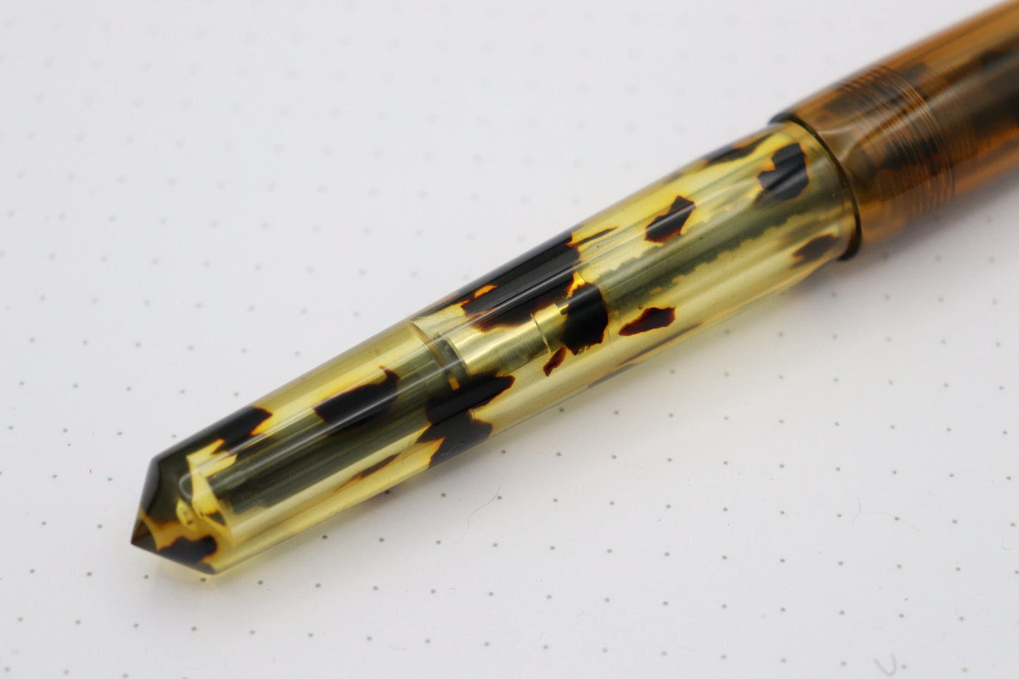 Poseidon Fountain Pen, Tortoise Celluloid