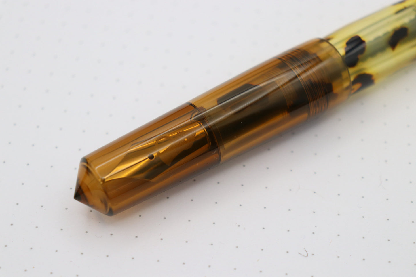 Poseidon Fountain Pen, Tortoise Celluloid